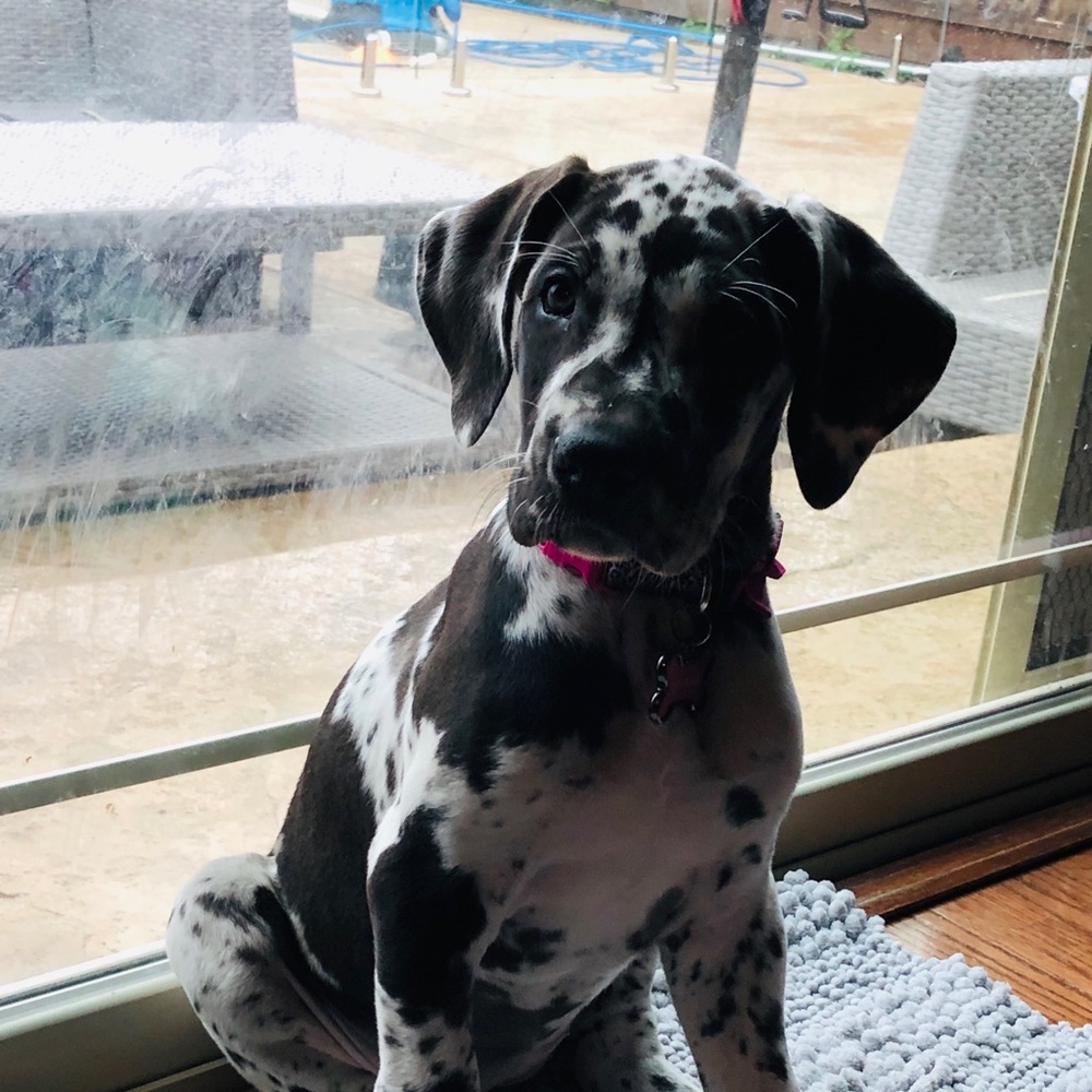 Meet your Posher, Nicole